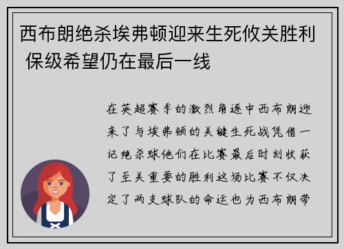 西布朗绝杀埃弗顿迎来生死攸关胜利 保级希望仍在最后一线