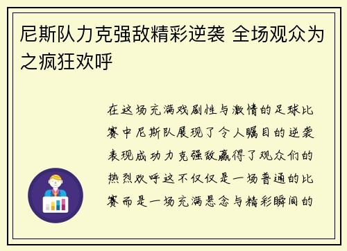 尼斯队力克强敌精彩逆袭 全场观众为之疯狂欢呼